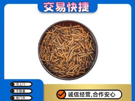 莆田高价回收散虫草
